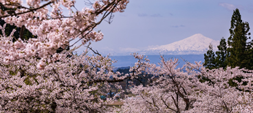 Workants auto about, Rental Cars Japan